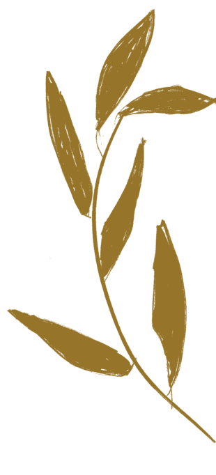a-propos-gaelle-doula-colombes-paris
