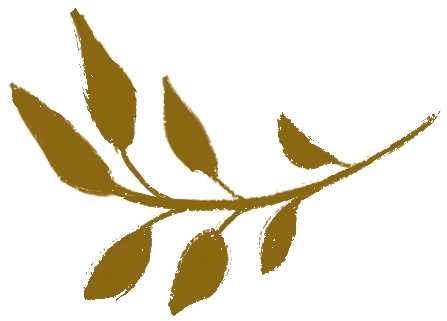 illustration-feuille-doula-paris-colombes