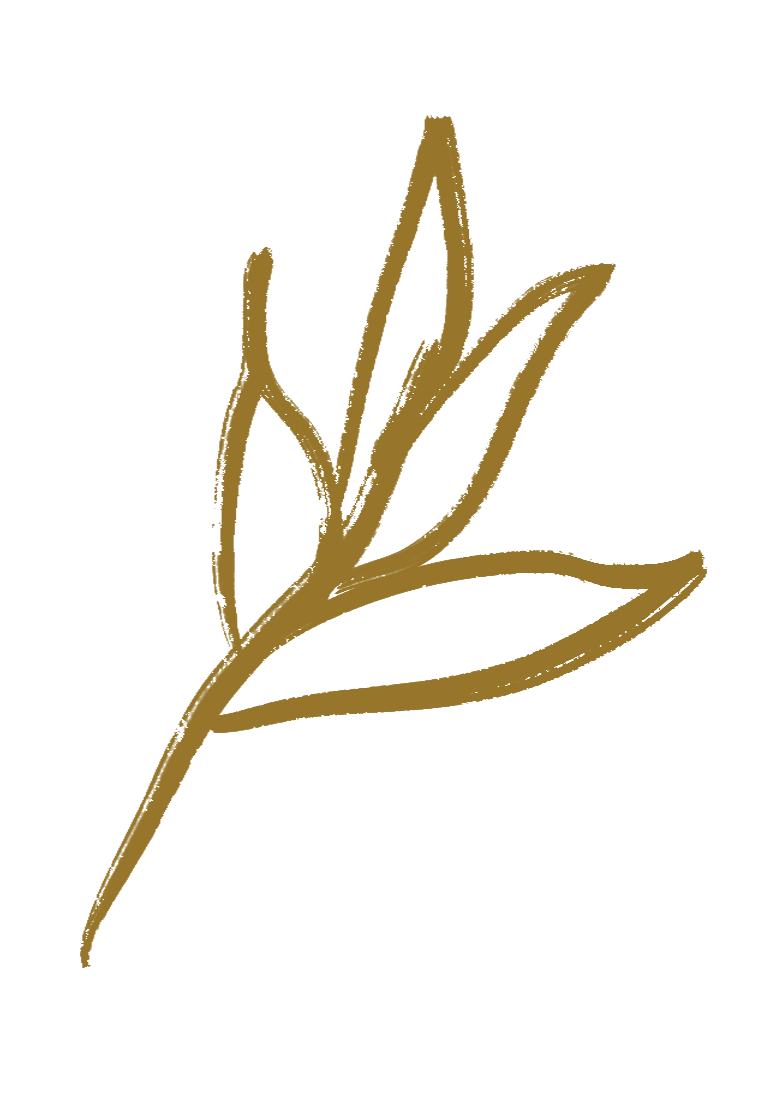 illu-feuilles-V2